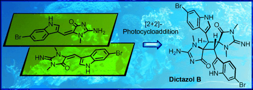 Spontaneous Biomimetic Formation of (±)-Dictazole B under Irradiation with Artificial Sunlight