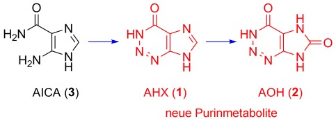 The Source of “Fairy Rings”: 2-Azahypoxanthine and its Metabolite Found in a Novel Purine Metabolic Pathway in Plants