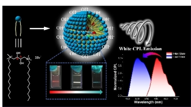 Modulating the Excited State Chirality of Dynamic Chemical Reactions in Chiral Micelles