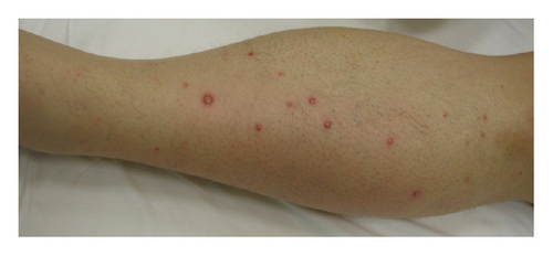 Details are in the caption following the image Details are in the caption following the image