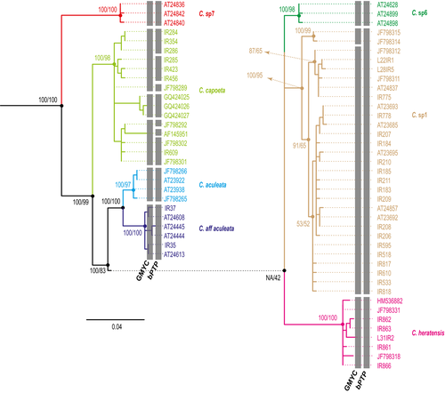 Details are in the caption following the image Details are in the caption following the image