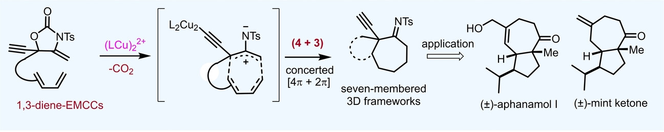 Building Three-Dimensional Complexity by Intramolecular 2-Aminoallyl Cation−Diene (4+3) Cycloaddition