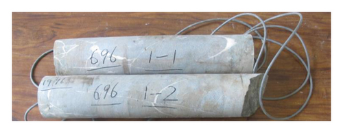 Details are in the caption following the image Details are in the caption following the image