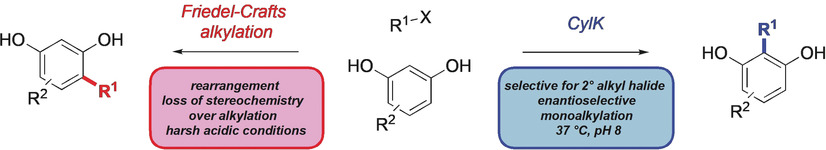 Biocatalytic Friedel–Crafts Alkylation Using a Promiscuous Biosynthetic Enzyme