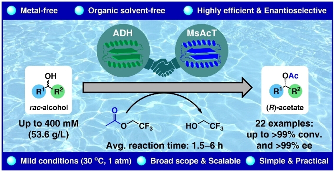 Bienzymatic Dynamic Kinetic Resolution of Secondary Alcohols by Esterification/Racemization in Water