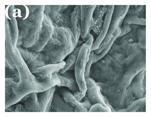 Details are in the caption following the image