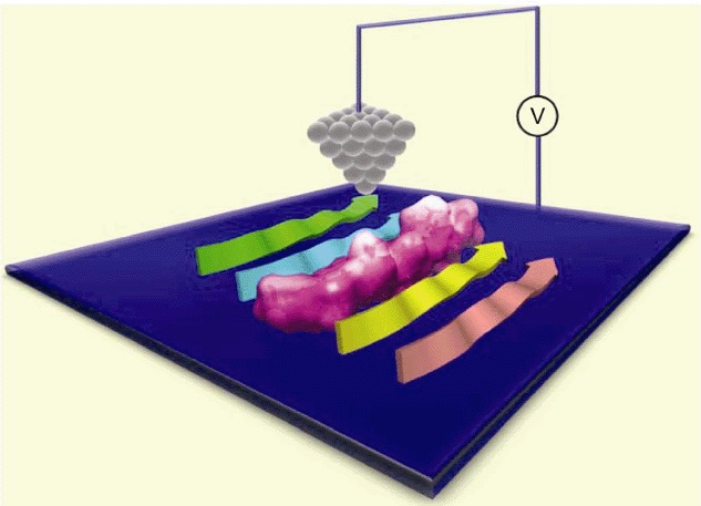 Site-specific Analysis of Amyloid Assemblies by Using Scanning Tunneling Microscopy