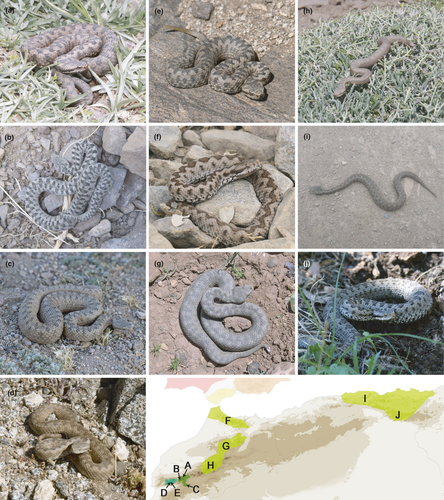 Details are in the caption following the image Details are in the caption following the image