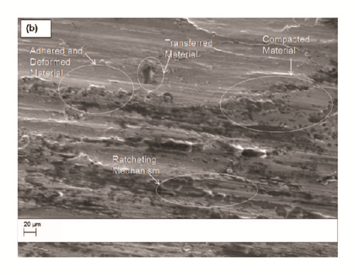 Details are in the caption following the image Details are in the caption following the image