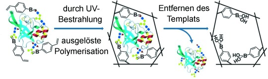Photolithographic Boronate Affinity Molecular Imprinting: A General and Facile Approach for Glycoprotein Imprinting