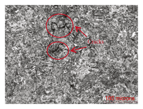 Details are in the caption following the image Details are in the caption following the image