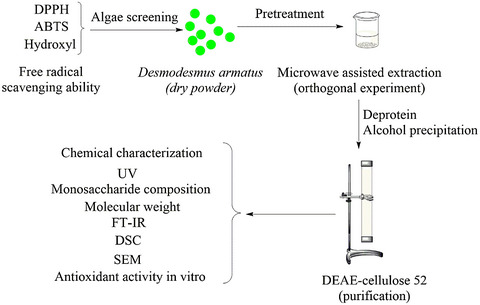 Study on physicochemical properties and antioxidant activity of polysaccharides from Desmodesmus armatus
