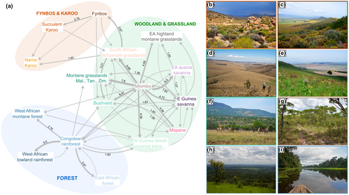 Details are in the caption following the image Details are in the caption following the image