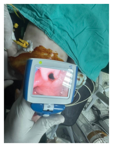 Details are in the caption following the image Details are in the caption following the image