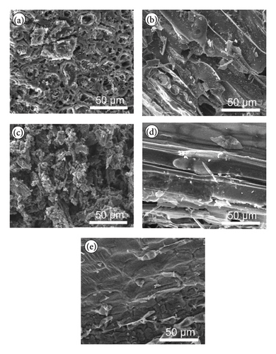 Details are in the caption following the image