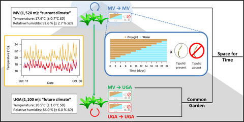 Disentangling how climate change can affect an aquatic food web by combining multiple experimental approaches