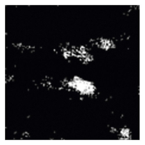 Details are in the caption following the image