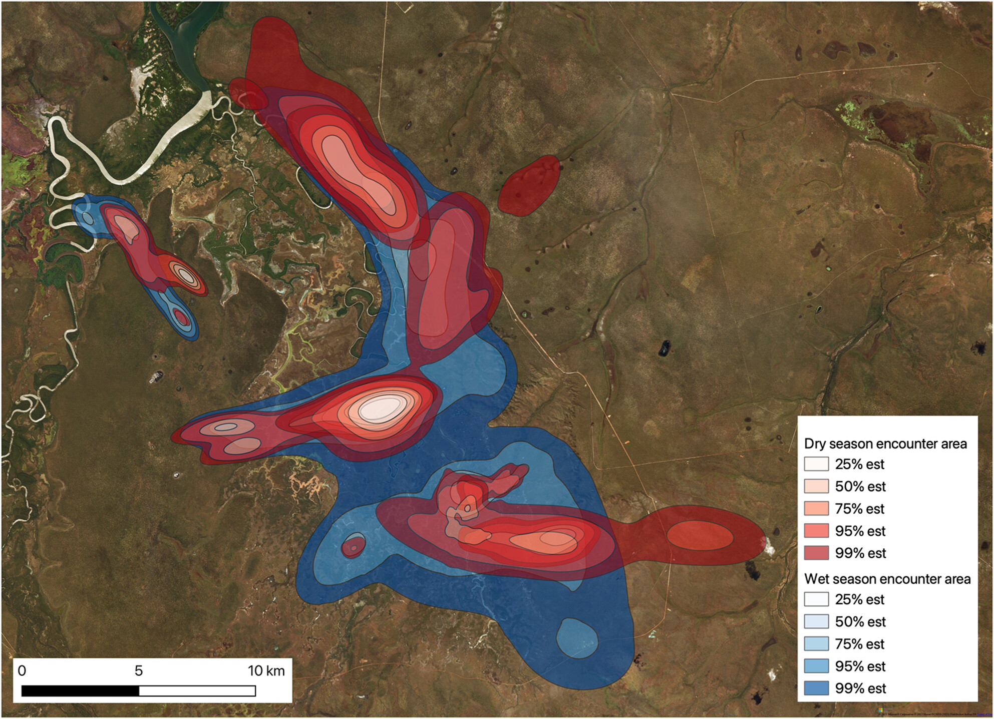 Love thy neighbour: Feral buffalos show greater space use, resource overlap and encounters during the wet season in the Northern Territory