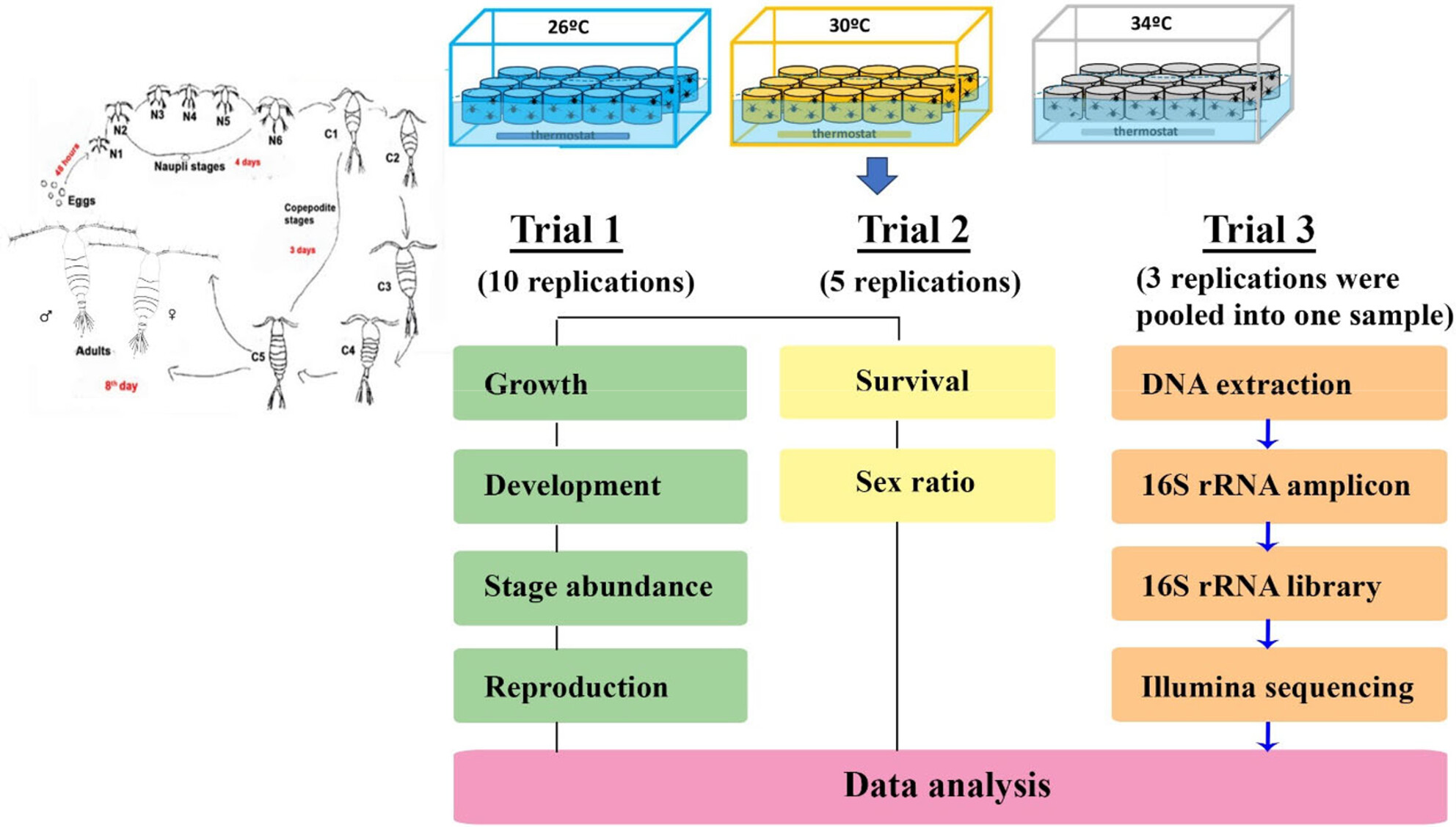 Extreme Temperatures Reduce Copepod Performance and Change the Relative Abundance of Internal Microbiota