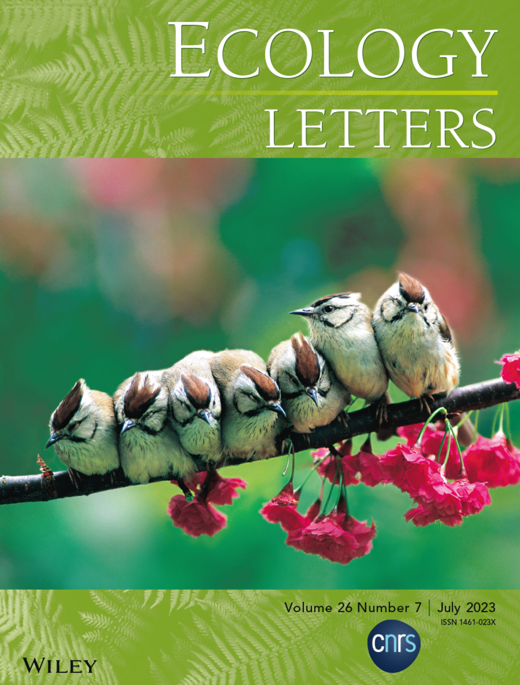 Cover Image: Volume 26 Number 7, July 2023 Volume 26 Issue 7, 2023