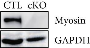Details are in the caption following the image