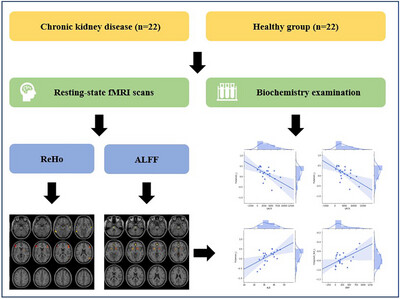 Urine Albumin-to-Creatinine Ratio as an Indicator of Brain Activity Changes in Chronic Kidney Disease: A Resting-State fMRI Study