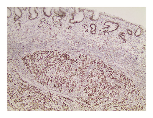 Details are in the caption following the image