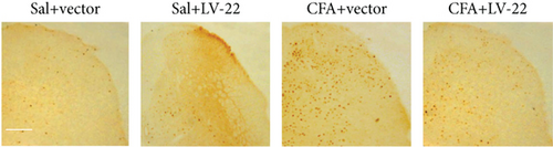 Details are in the caption following the image