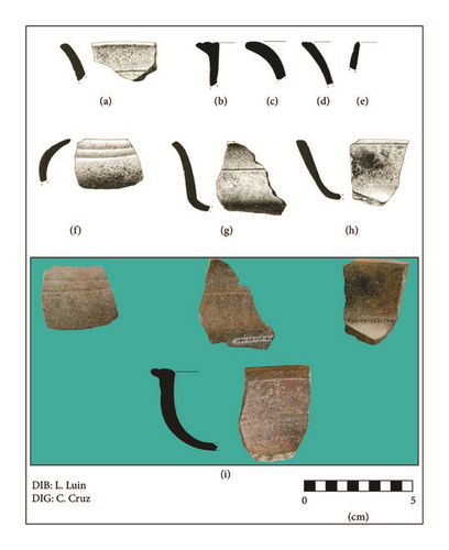 Details are in the caption following the image Details are in the caption following the image