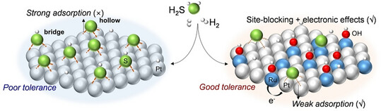 Site-Blocking Strategy Boosts H2S Tolerance in Platinum-Based Hydrogen Oxidation Catalysts