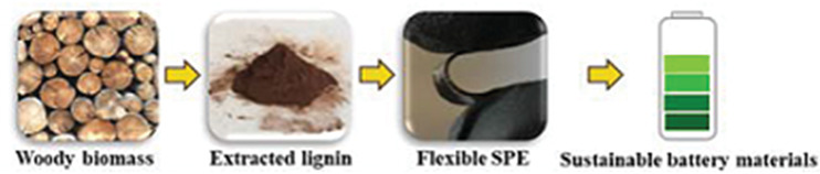 Viability of Low Molecular Weight Lignin in Developing Thiol-Ene Polymer Electrolytes with Balanced Thermomechanical and Conductive Properties