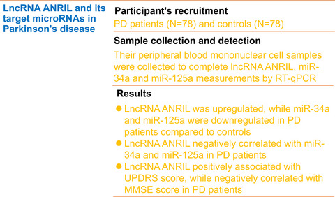 Long non-coding RNA ANRIL interacts with microRNA-34a and microRNA-125a, and they all correlate with disease risk and severity of Parkinson's disease