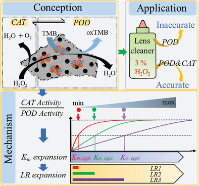 A Cascade Enzyme System Integrating Peroxidase Mimic with Catalase for Linear Range Expansion of H2O2 Assay: A Mechanism and Application Study