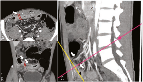 Details are in the caption following the image Details are in the caption following the image