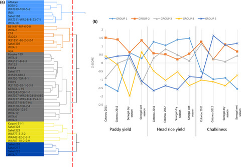 Variations in agronomic and grain quality traits of rice grown under irrigated lowland conditions in West Africa