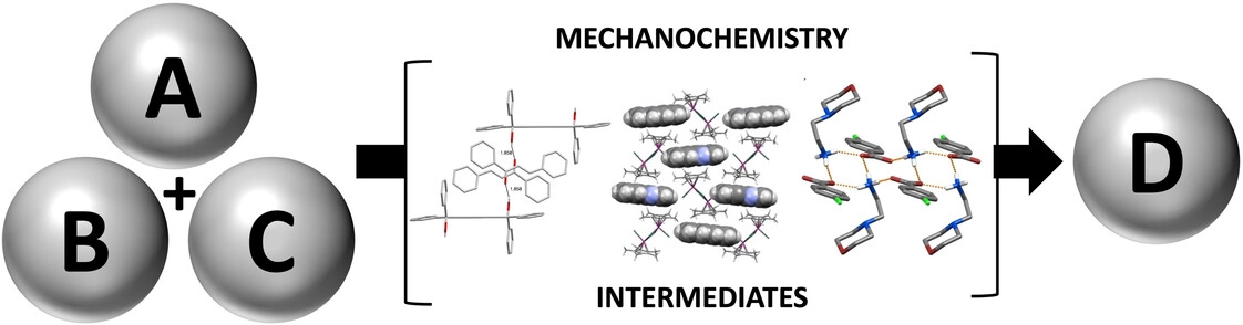 Intermediates in Mechanochemical Reactions