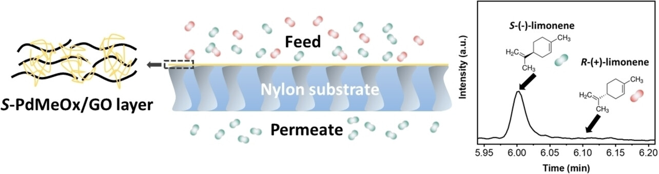 A Homochiral Poly(2-oxazoline)-based Membrane for Efficient Enantioselective Separation