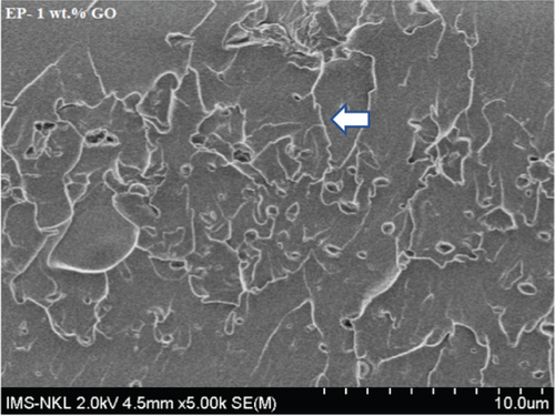 Details are in the caption following the image