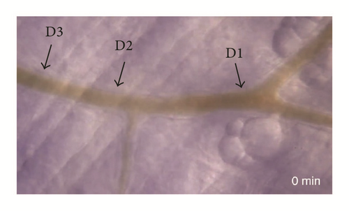 Details are in the caption following the image Details are in the caption following the image