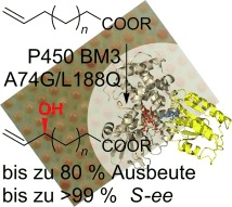 Enantioselektive allylische Hydroxylierung von ω-Alkensäuren und -estern mittels der P450-BM3-Monooxygenase
