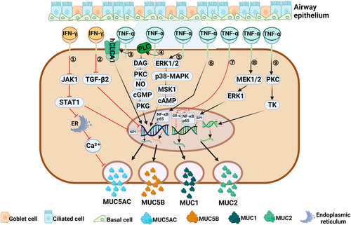 Details are in the caption following the image Details are in the caption following the image