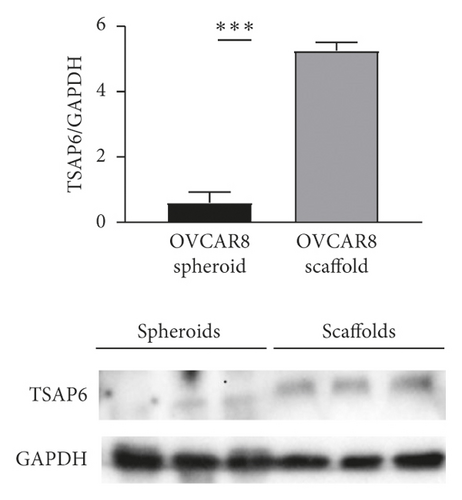 Details are in the caption following the image