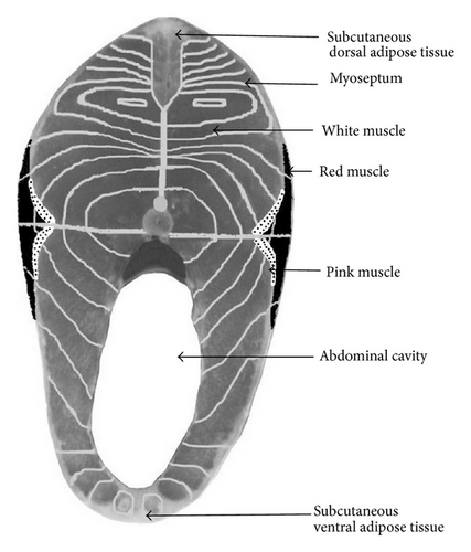 Details are in the caption following the image
