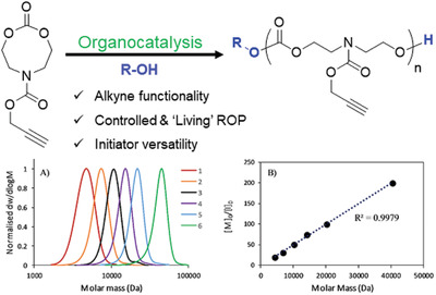 Organocatalytic Synthesis of Alkyne-Functional Aliphatic Polycarbonates via Ring-Opening Polymerization of an Eight-Membered-N-Cyclic Carbonate
