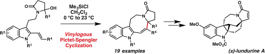 Development of the Vinylogous Pictet–Spengler Cyclization and Total Synthesis of (±)-Lundurine A