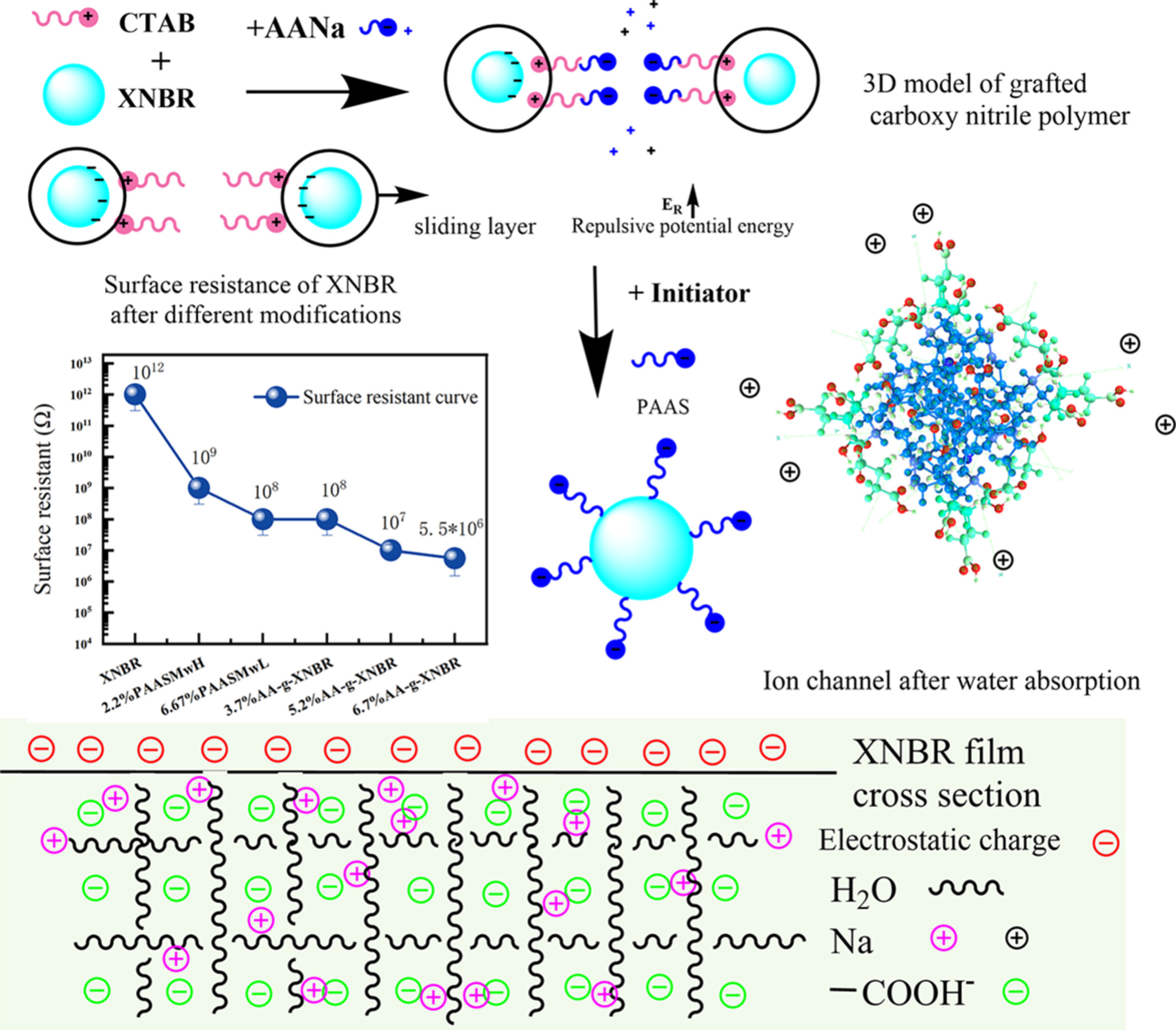 Enhance the Durable Antistatic Properties of Aqueous Dispersion XNBR Films of Light Color With Grafting Hydrophilic Sodium Polyacrylate