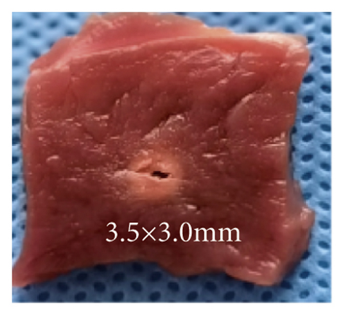 Details are in the caption following the image Details are in the caption following the image