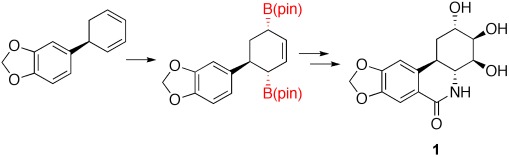 A Boron-Based Synthesis of the Natural Product (+)-trans-Dihydrolycoricidine