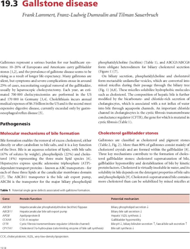 First page image