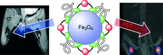 Synthesis of 64CuII–Bis(dithiocarbamatebisphosphonate) and Its Conjugation with Superparamagnetic Iron Oxide Nanoparticles: In Vivo Evaluation as Dual-Modality PET–MRI Agent